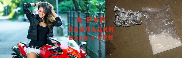 ГАЛЛЮЦИНОГЕННЫЕ ГРИБЫ Корсаков