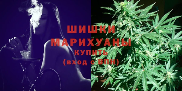 ГАЛЛЮЦИНОГЕННЫЕ ГРИБЫ Корсаков